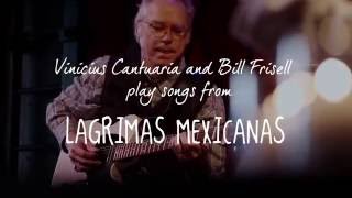 Bill Frisell & Vinicius Cantuária    mp4