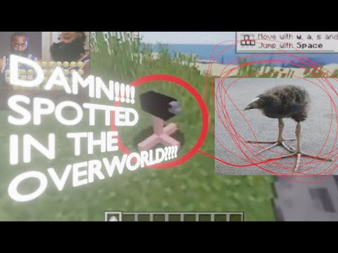 DAMN!!!! SPOTTED??? // FoxSMP