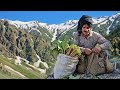 Juma Returns Home From A Mountain Trip Salt Harvesting And Wild Plants Nomadic Life Iran
