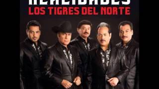 Los tigres del norte amarte me ase bien