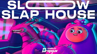 Video thumbnail for Slow Slap House (Sample Pack) by Dropgun Samples