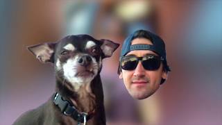 emBARK! TV - Lost Dog Cafe
