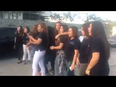 Silang Cattleya Video thumbnail