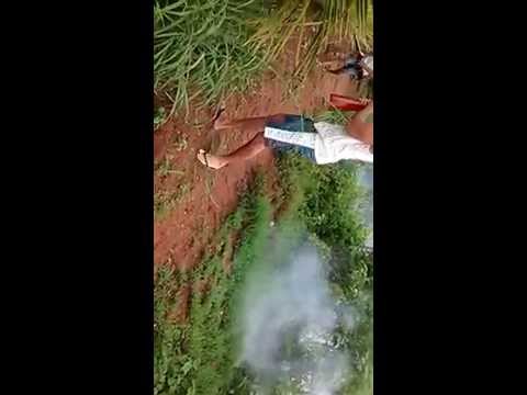 vidio do bacamarteiro