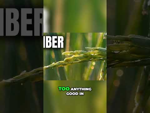 Refined Carbohydrates: The Truth About White Bread! #shorts