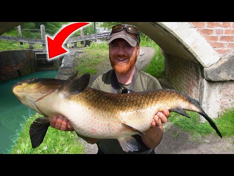 I Just Caught A Canal GIANT! New PB!