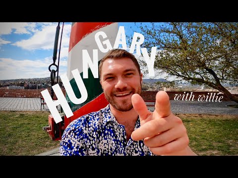 🇭🇺 this is why I live in Hungary