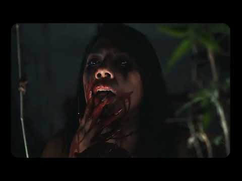 Elsa Soulec - Te Maté (Visualizer) Shot by Bipolarity