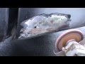 How to fix rust on your car or truck Part 1 See disc ...