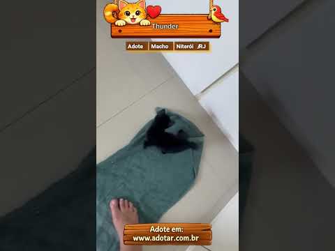 Vídeo de Thunder