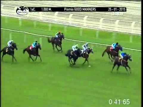 1ra PREMIO: GOOD MANNERS 25 01 2015