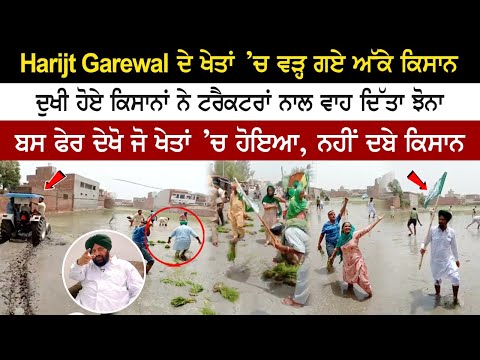 Harjit Garewal ਦੇ ਖੇਤਾਂ 'ਚ ਵੜ੍ਹ ਗਏ ਅੱਕੇ ਕਿਸਾਨ