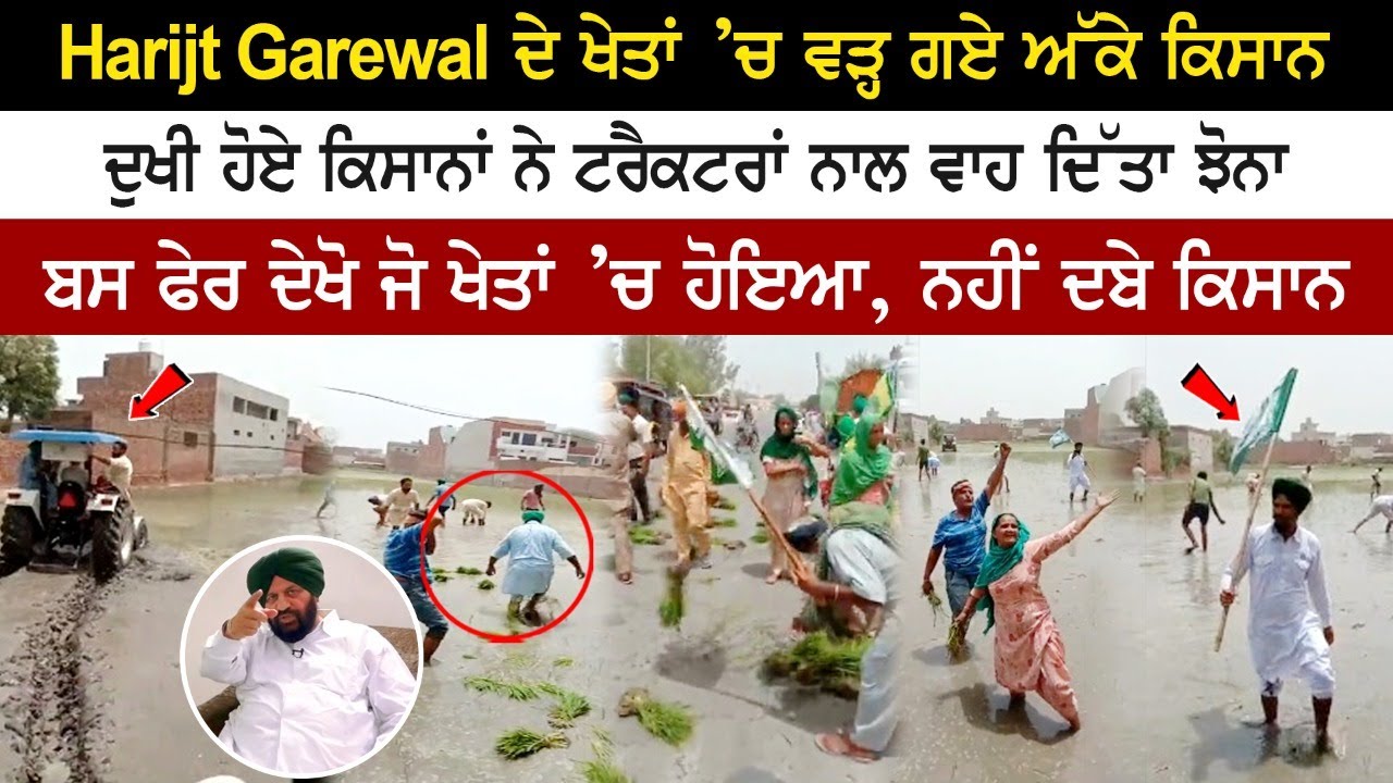 Harjit Garewal ਦੇ ਖੇਤਾਂ 'ਚ ਵੜ੍ਹ ਗਏ ਅੱਕੇ ਕਿਸਾਨ, ਦੁਖੀ ਹੋਏ ਕਿਸਾਨਾਂ ਨੇ ਟਰੈਕਟਰਾਂ ਨਾਲ ਵਾਹ ਦਿੱਤਾ ਝੋਨਾ Harjit Garewal ਦੇ ਖੇਤਾਂ 'ਚ ਵੜ੍ਹ ਗਏ ਅੱਕੇ ਕਿਸਾਨ, ਦੁਖੀ ਹੋਏ ਕਿਸਾਨਾਂ ਨੇ ਟਰੈਕਟਰਾਂ ਨਾਲ ਵਾਹ ਦਿੱਤਾ ਝੋਨਾ