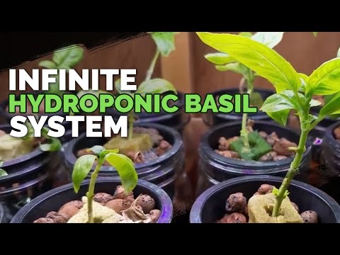 How to Prepare Water for Hydroponics