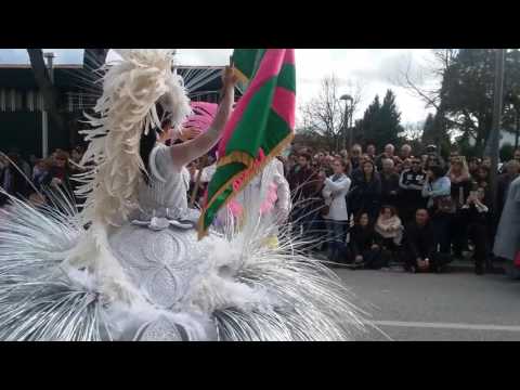 Sócios da Mangueira 2017 - Desfile Carnaval Mealhada