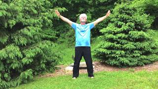 Qigong 12 form