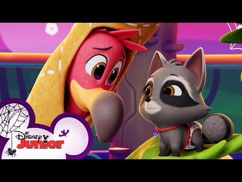 Happy Halloween from Pip and Freddy ? | T.O.T.S. | Disney Junior