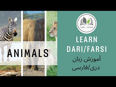 Learn Dari/Farsi: Animals