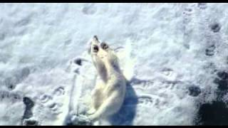 Cambiar la Piel... Romper la Cadena