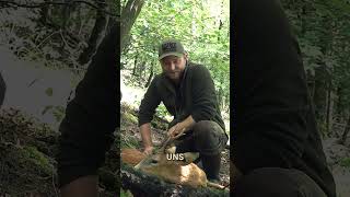 Ein perfekter Blattjagdtag 🌋 Bockjagd in der Eifel mit  ⁨@Huntingroom⁩