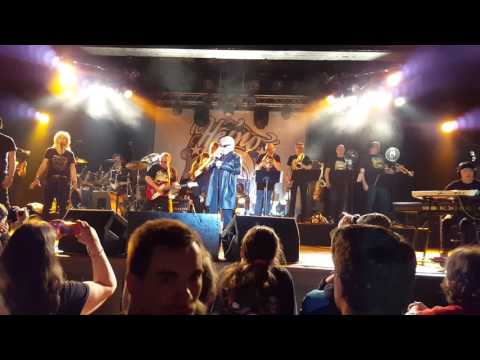 Heino - Grosse Freiheit 24.10.2015 - Sonne