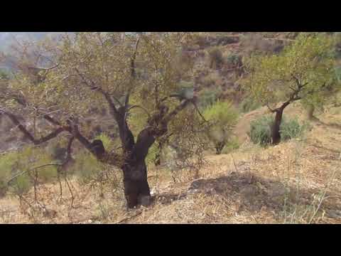 AX932 Cortijo El Trujillo, outside 2