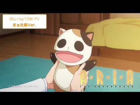 Blu-ray 15秒 PV（まぁ社長Ver.）