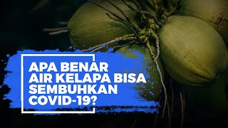 Setelah Susu Beruang, Kini Air Kelapa Jadi Buruan karena Dianggap Sembuhkan Covid-19, Ini Faktanya