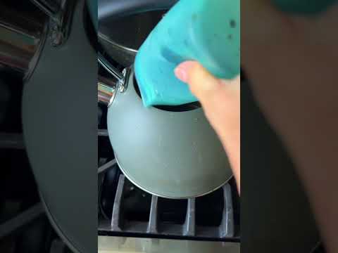 Daily Chaga Tea Ritual 🍵 | How I Brew Chaga Tea with Survival Moss Chaga Nuggets