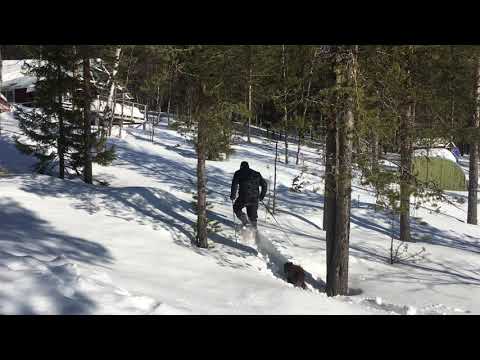 Carving a path ❄️