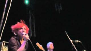 Steve Ignorant (Crass) / Bloody Revolutions