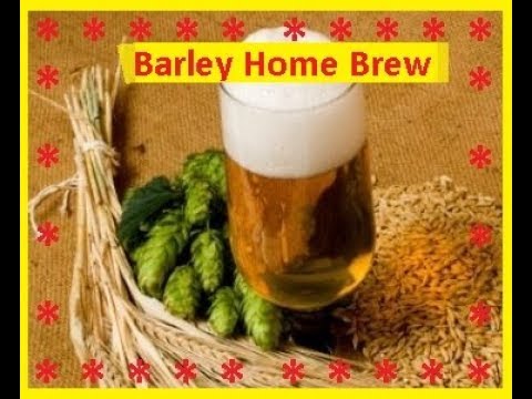 Barley Home Brew / Bon Appetit
