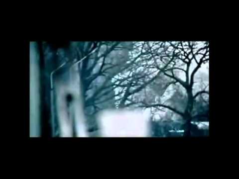 Most+a+ponte+entre+o+agora++e+o+sempre.flv