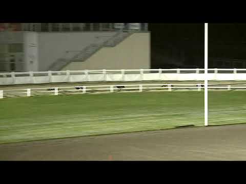 2021.10.22. 05. futam - Lyreen Mover Díj