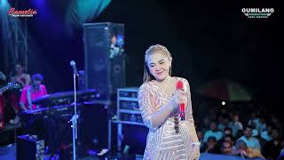 Download lagu CAMELIA MUSIC - BLUE Spruce - EVA AQUILA - WEDDING ISAL & FAZA - PEKALONGAN BATEALIT JEPARA mp3