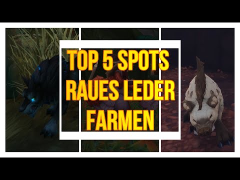 Top 5 Spots Raues Leder zu Farmen - 10-12K GOLD DIE STUNDE - Rohrbin