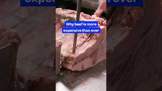 Thumbnail for Why is #beef 80% more expensive than in 2019? #foodprices #groceries #beefindustry