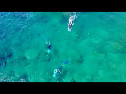 CANADOS St BARTH Teaser