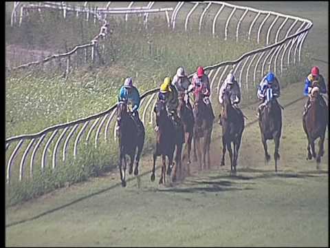 Galoppo 20/08/2016 - 3° corsa