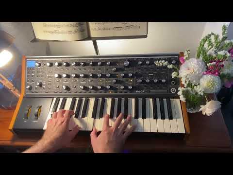 Gigue from Cello Suite No. 2 in Dm on the Moog Sub37