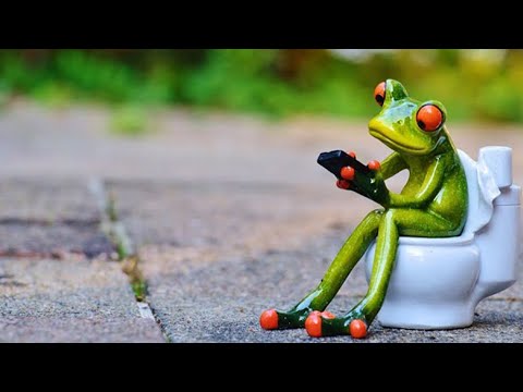 Música pra fazer cocô - curar constipação - Ajuda para evacuar - binaural waves