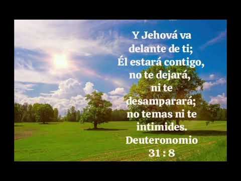 Cánticos de Redención: Himno n° 297