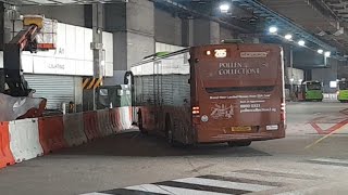 (Pollen Collection II Full Body Advertisement) SG1026H(SEDEP 135) On Service 265 At Ang Mo Kio Int