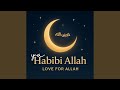 Ya Habibi Allah Love For Allah