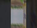Dehleez Pe Mere Dil Ki ️ Aesthetic Status Lofi Song New What App Status