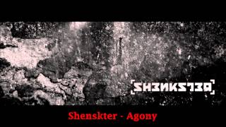 Shenkster - Agony / CLIP