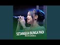 Setangkai Bunga Padi