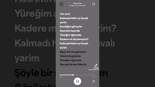 🥰Serdar Ortaç🥰-🥰Havalı yarim🥰