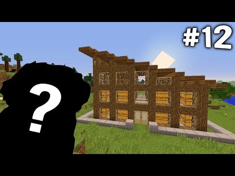 COSTRUISCO IL MAGAZZINO INSIEME A UN OSPITE MISTERIOSO - Vanilla #12