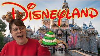 Disneyland Christmas Opening Day Did Not Go As Planned!